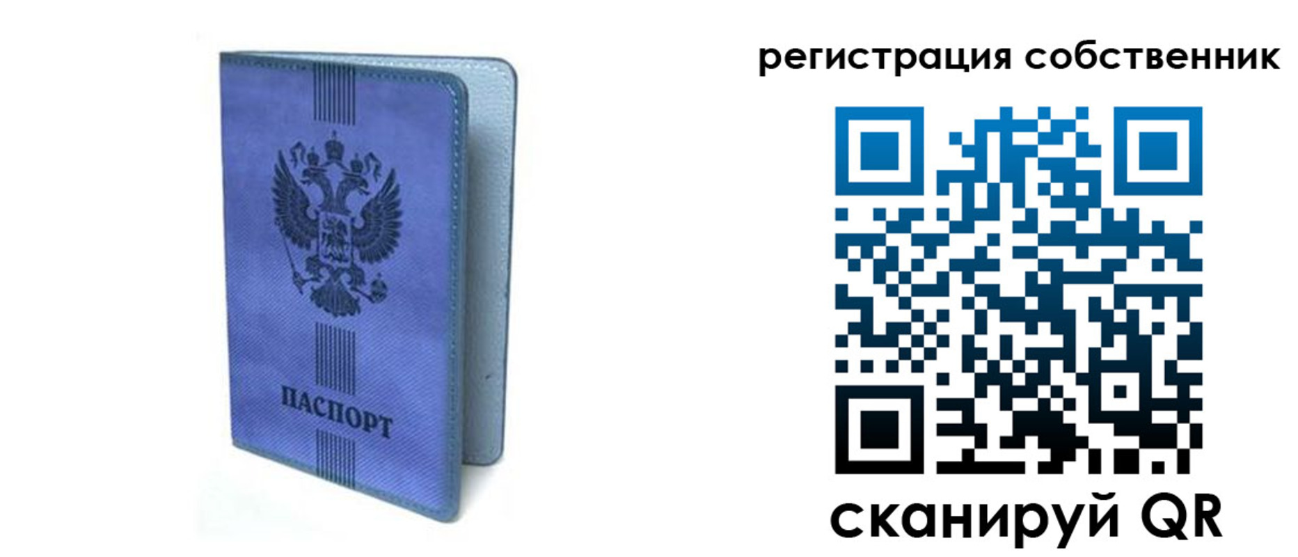 прописка 2025 в Алексеевке